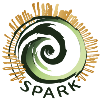 Spark Health Logo